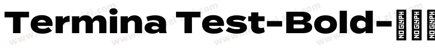 Termina Test-Bold字体转换